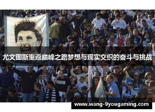 尤文图斯重返巅峰之路梦想与现实交织的奋斗与挑战