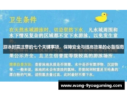 游泳时需注意的七个关键事项，保障安全与提高效果的必备指南