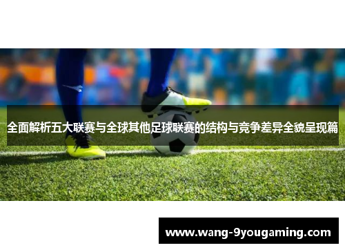 全面解析五大联赛与全球其他足球联赛的结构与竞争差异全貌呈现篇